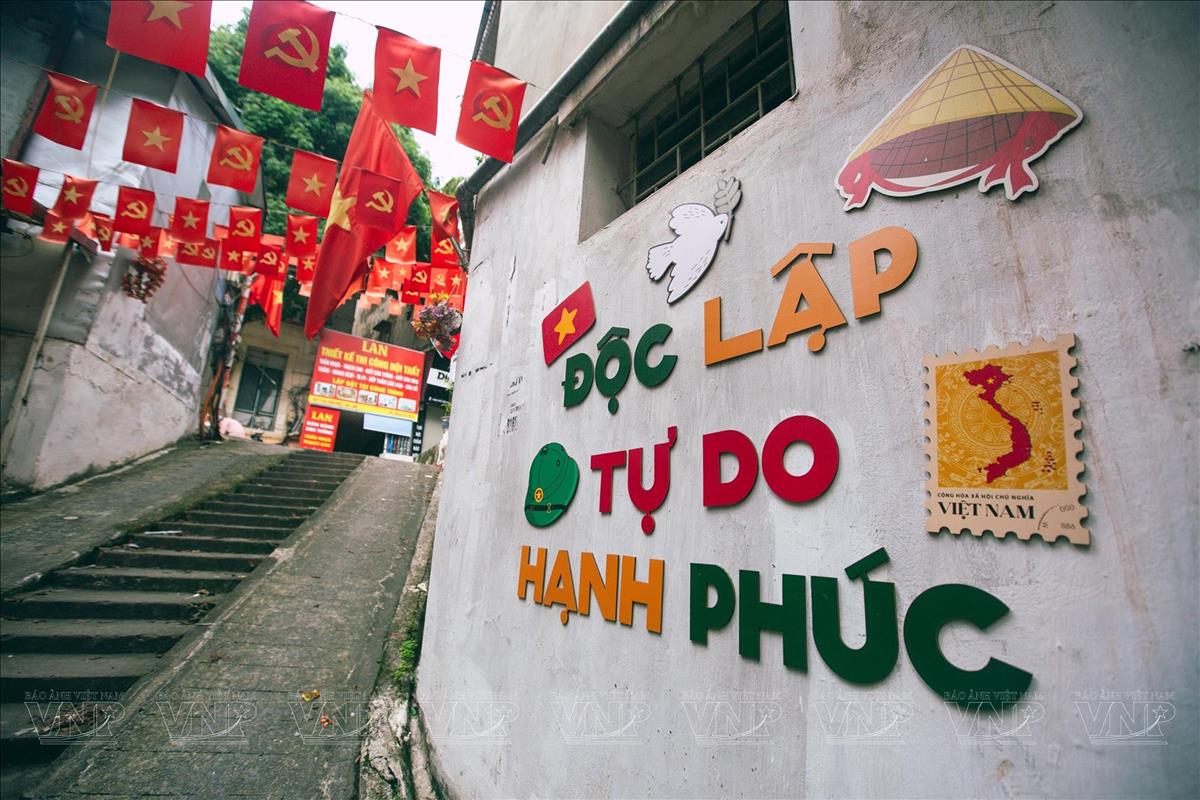 Feedback Cây Kim Nhỏ